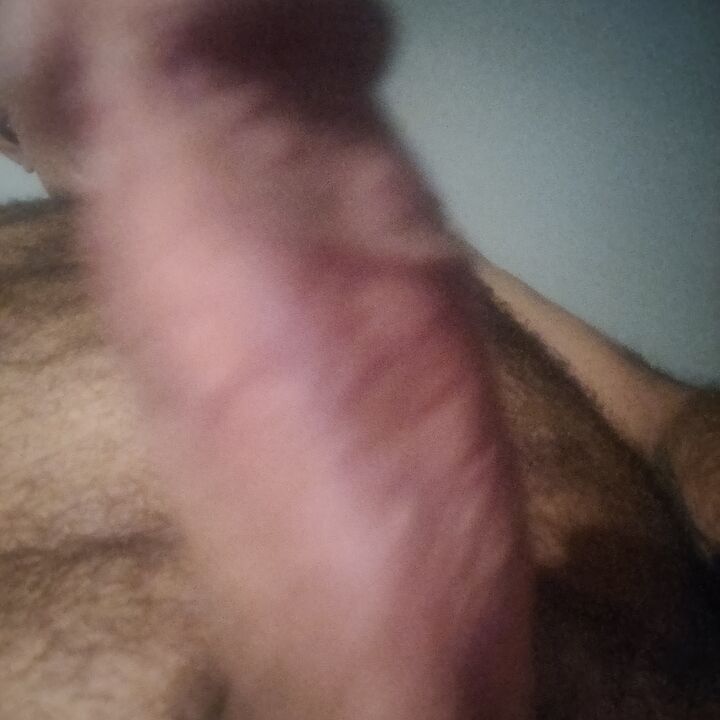 policromado242