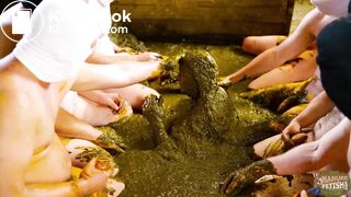 Snow White and the seven dung dwarfs