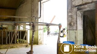 Snow White and the seven dung dwarfs