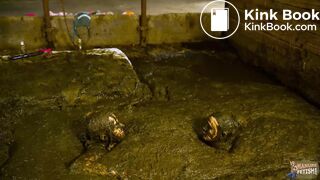 2 Girls 1 Manure Channel