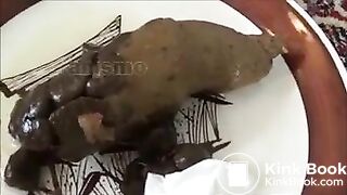 Bardzo twarde gówno