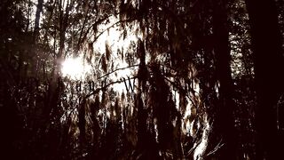 Backwoods Beckoning ~ FemDom Pegging in the Woods