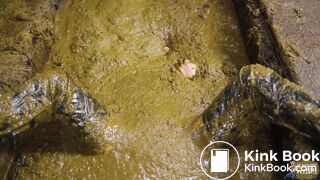 Brooke Maddison Dung Erotica - first time in cowshit