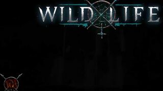Wild Life Stories: Erotic Elf Encounters Part 1