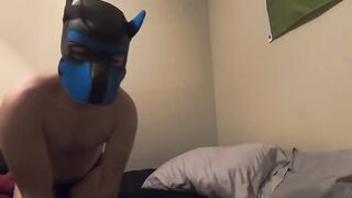 Horny FTM pup humps and cums with pillow