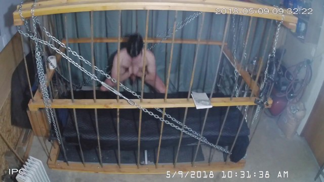The Cage Cam May 9 2018 0739 day or night - what does it matter