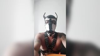 Dog roles, gay porn fetish