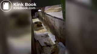 Beautiful women pooping in the toilet 22