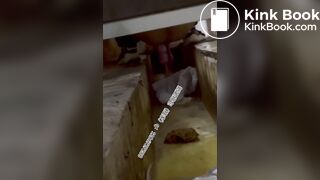 Beautiful women pooping in the toilet  23