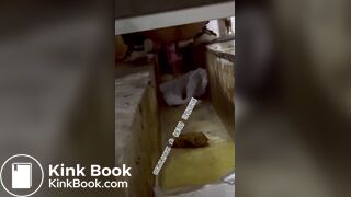 Beautiful women pooping in the toilet  23