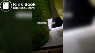 Beautiful women pooping in the toilet 24