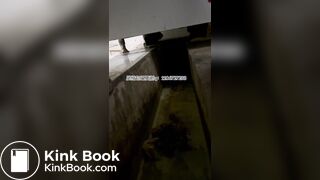 Beautiful women pooping in the toilet 24