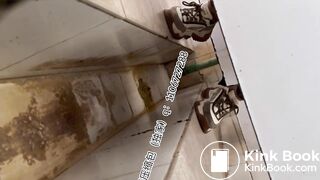 Beautiful women pooping in the toilet 29