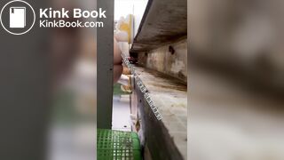 Beautiful women pooping in the toilet 37