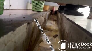 Beautiful women pooping in the toilet 38