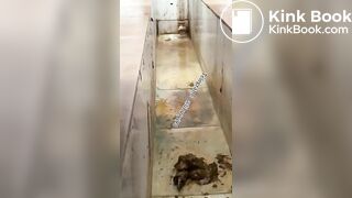 Beautiful women pooping in the toilet 42