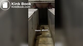 Beautiful women pooping in the toilet 44