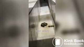 Beautiful women pooping in the toilet 44