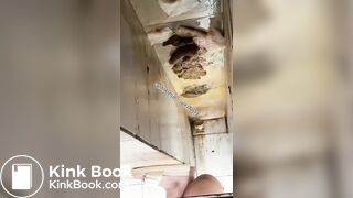 Beautiful women pooping in the toilet 45