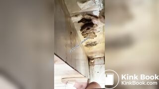 Beautiful women pooping in the toilet 45