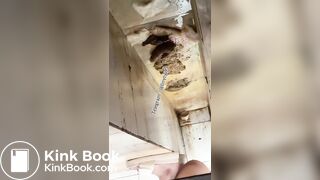 Beautiful women pooping in the toilet 45