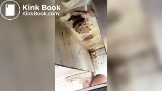 Beautiful women pooping in the toilet 45