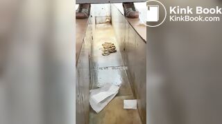 Beautiful women pooping in the toilet 47