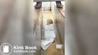 Beautiful women pooping in the toilet 47