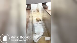 Beautiful women pooping in the toilet 47