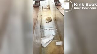 Beautiful women pooping in the toilet 47