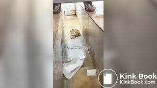 Beautiful women pooping in the toilet 47