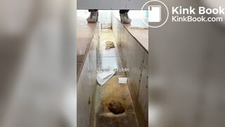 Beautiful women pooping in the toilet 47