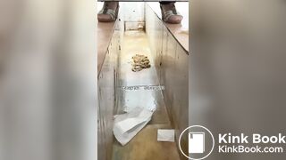 Beautiful women pooping in the toilet 47