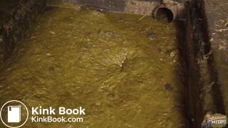 Brooke Maddison Morning Cowshed Routine in Cowshit