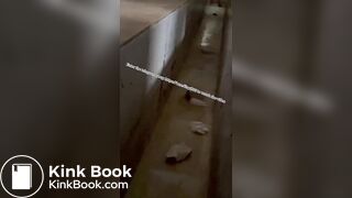 Beautiful women pooping in the toilet 56