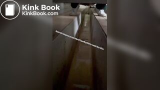 Beautiful women pooping in the toilet 56