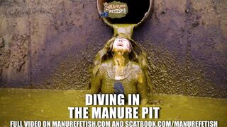 Diving in the manure pit full of cowshit