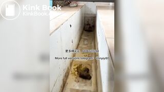 The girl excreted profusely in the toilet 82