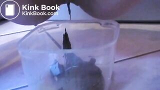 2065736_RRvsEm_207799