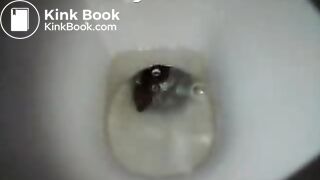 girl has shit in the toilet