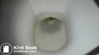 girl has shit in the toilet