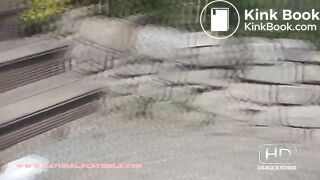 NSG nice brune poop in banc