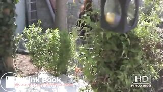 NSG nice brune poop in banc