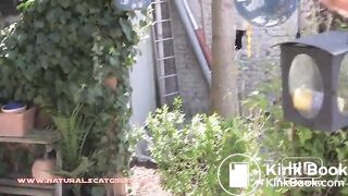 NSG nice brune poop in banc