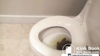 Denver Toilet Dump