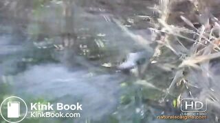 NSG mais perfect pooping