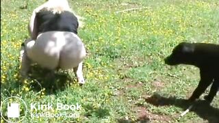 Fat woman shitting in the field