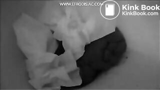 black and white pooping