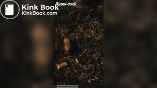 pooping at night in the park