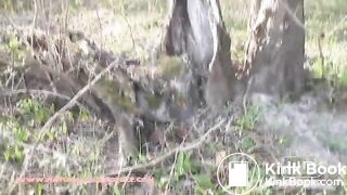 NSG brune very nice shit in foret